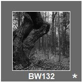 BW132