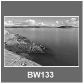 BW133