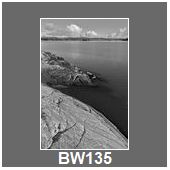 BW135