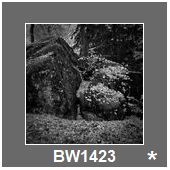 BW1423