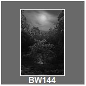 BW144