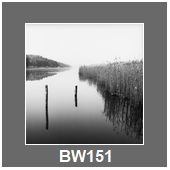BW151