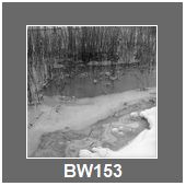 BW153