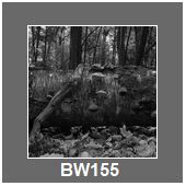 BW155