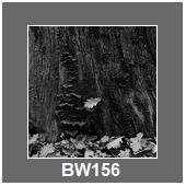 BW156