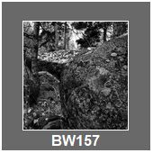 BW157