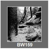 BW159