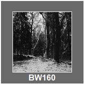 BW160