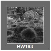 BW163