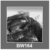 BW164