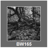 BW165