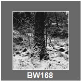 BW168
