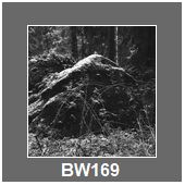 BW169