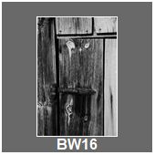 BW16