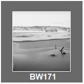 BW171