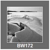 BW172