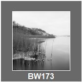 BW173