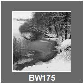 BW175
