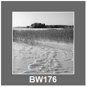 BW176