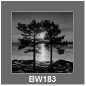 BW183