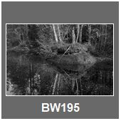 BW195