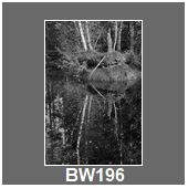BW196