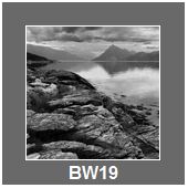 BW19