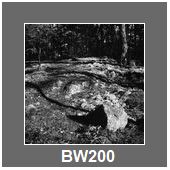 BW200