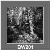 BW201