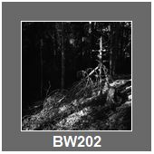 BW202