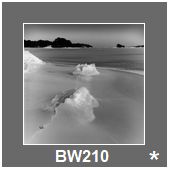 BW210