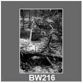 BW216