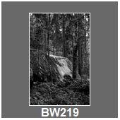 BW219