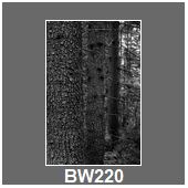 BW220