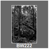 BW222