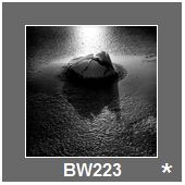 BW223