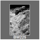 BW225