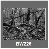 BW226
