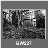 BW227