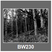 BW230