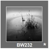 BW232
