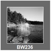 BW236