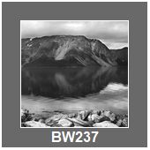 BW237