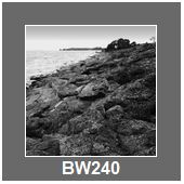 BW240