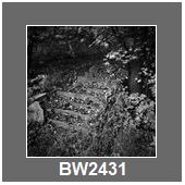 BW2431