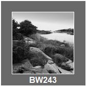 BW243