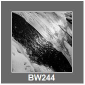 BW244