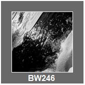BW246