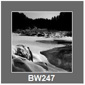 BW247
