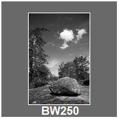 BW250